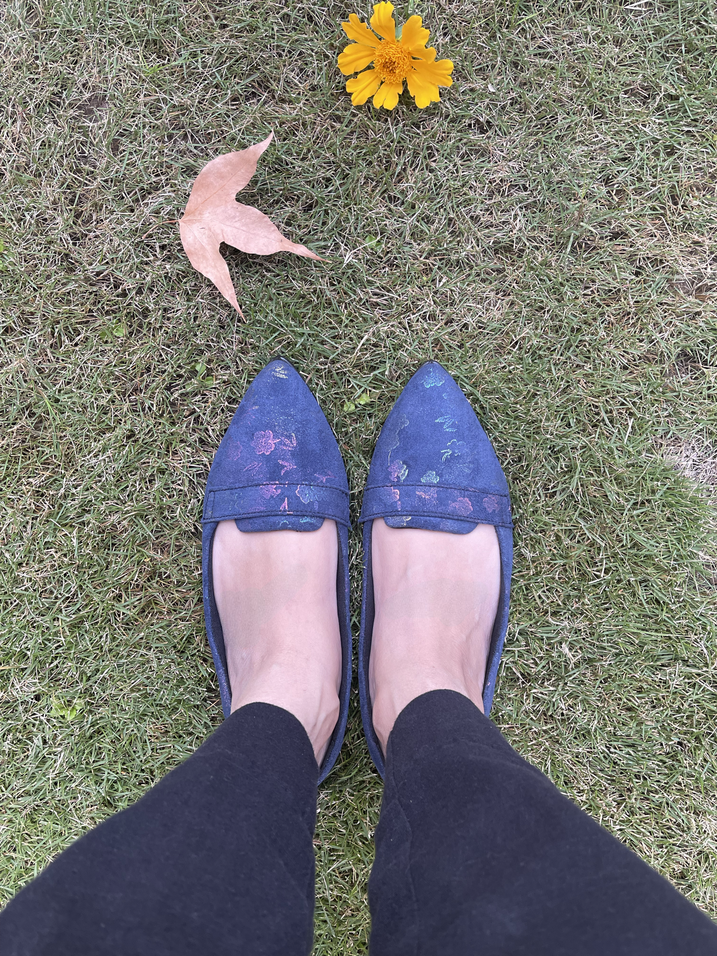 Dove -BLUE PUMPS